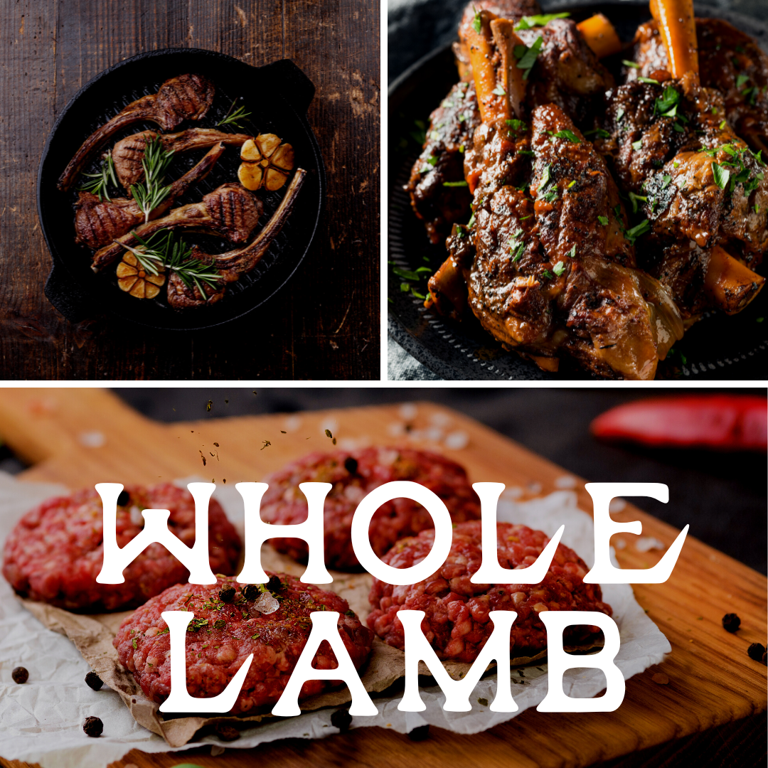 Whole Lamb