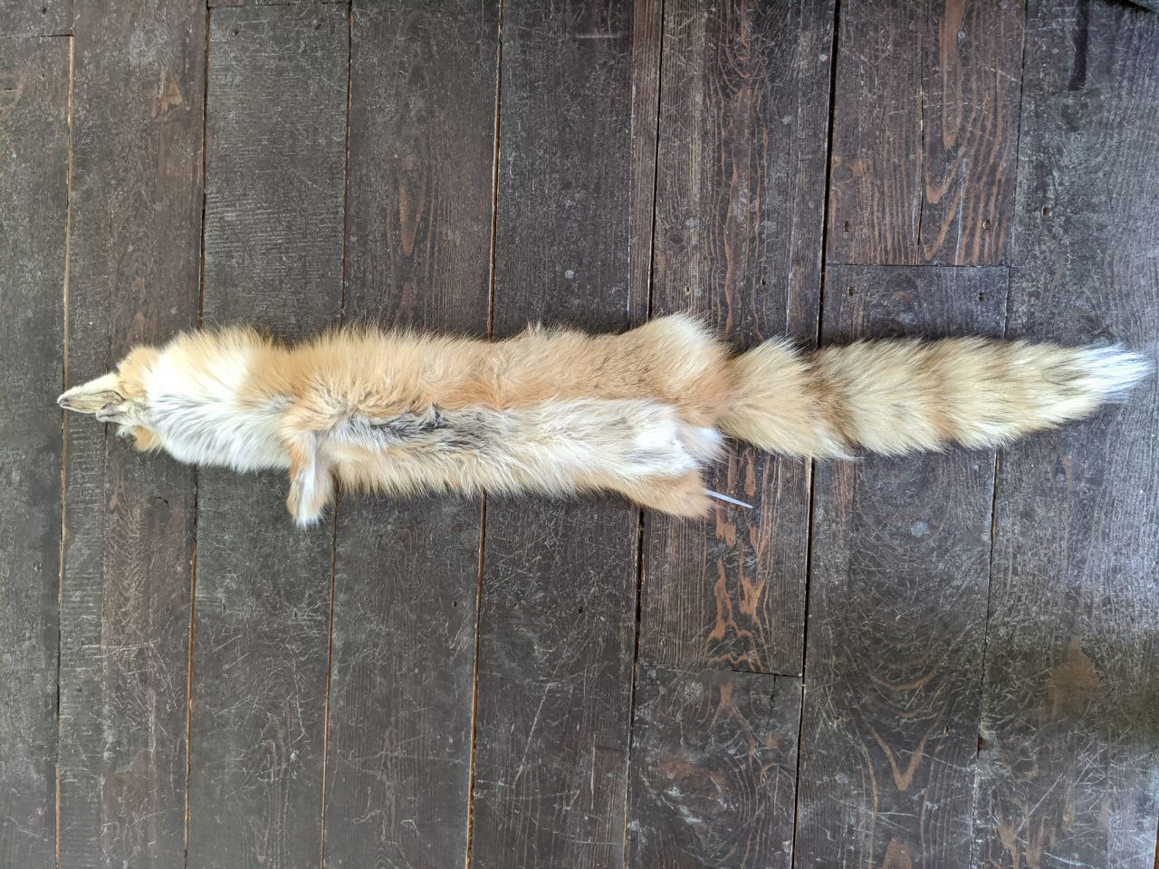 Fox Pelt