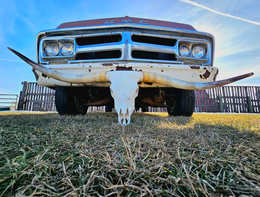 Longhorn Skulls: Cleaned + Polished