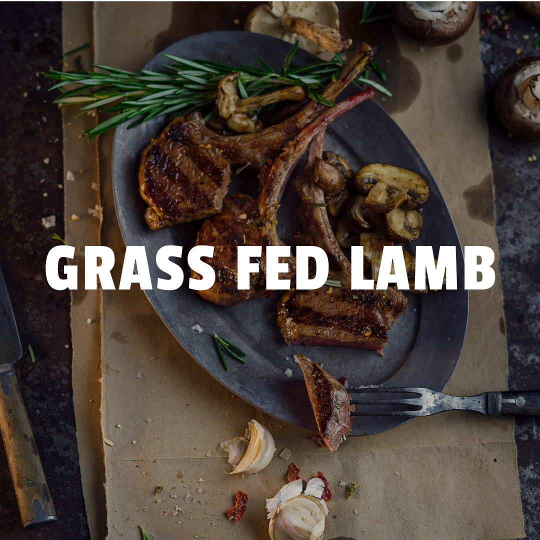 grass fed and finished lamb