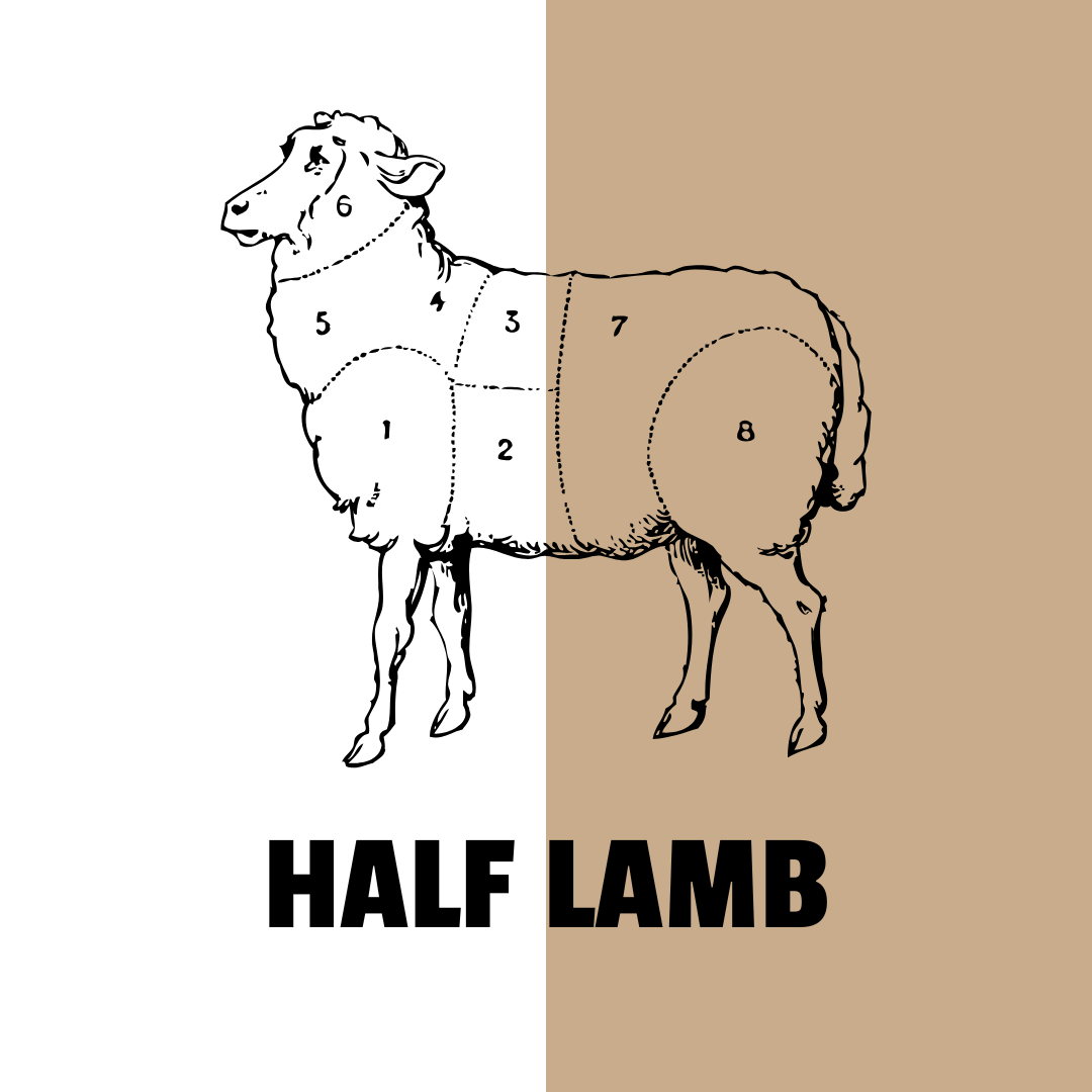 Half Lamb