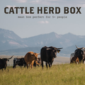Cattle Herd Box (Feed 5+ people)