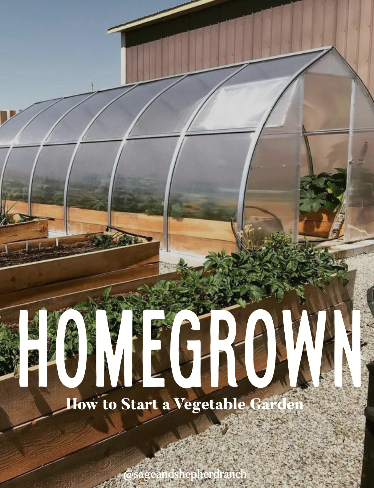 HomeGrown: How to Start a Vegetable Garden eBook + free Garden Planner!