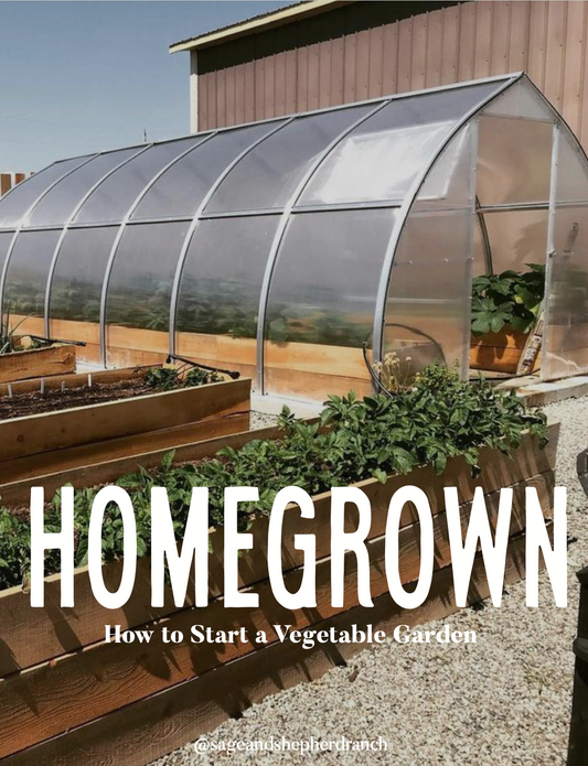 HomeGrown: How to Start a Vegetable Garden eBook + free Garden Planner!