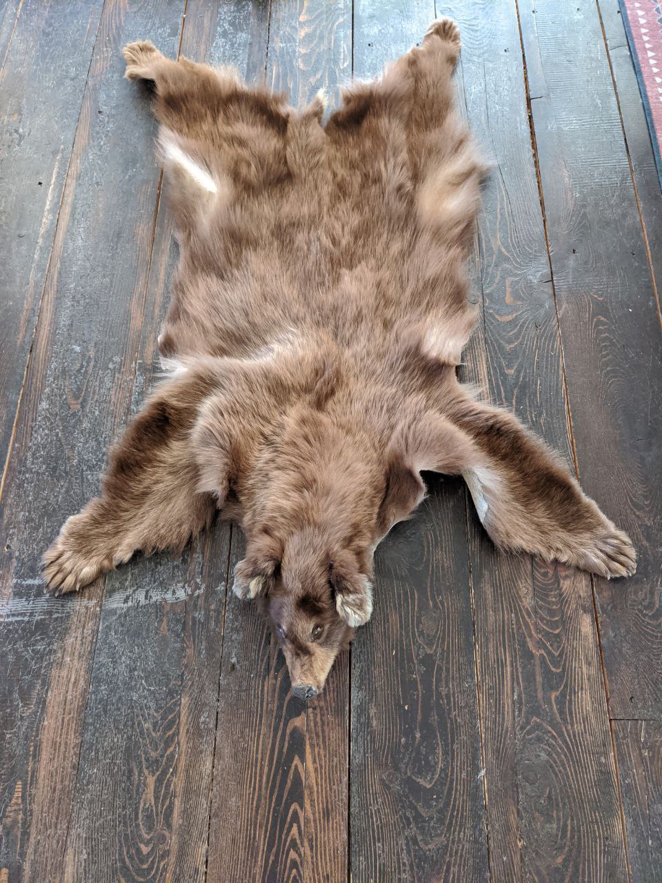 Black Bear Pelt